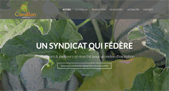 Desktop Screenshot of melondecavaillon.com